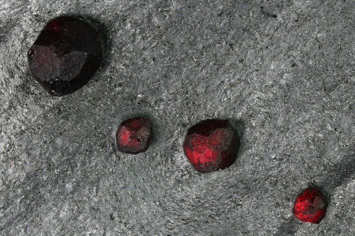 Plate of Seven Red Embers Garnets in Graphite - Massachusetts #165522